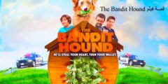 قصة فيلم The Bandit Hound