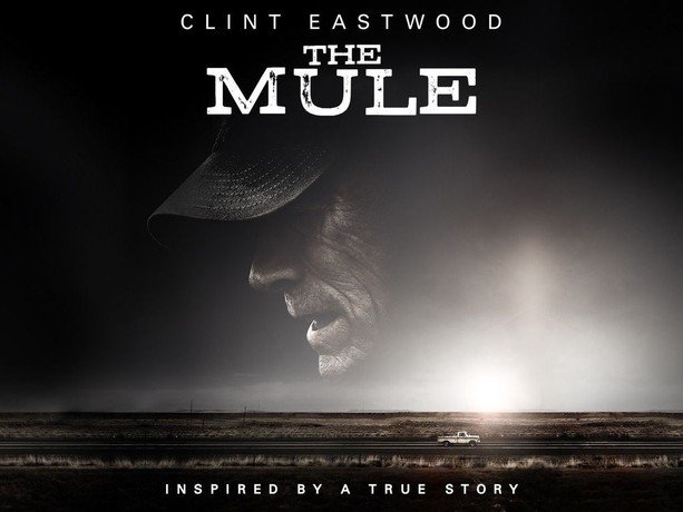 قصة فيلم The Mule