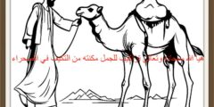 هيأ الله سبحانه وتعالى تراكيب للجمل مكنته من التكيف في الصحراء