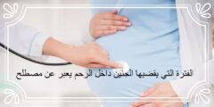 الفترة التي يقضيها الجنين داخل الرحم يعبر عن مصطلح