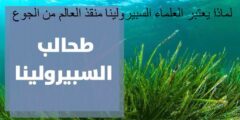 يعتبر العلماء السبيرولينا منقذ العالم من الجوع