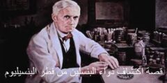 قصة اكتشاف دواء البنسلين من فطر البنسيليوم