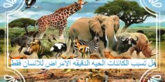 هل تسبب الكائنات الحيه الدقيقه الامراض للانسان فقط