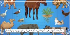 المخلوقات الحيه وغير الحيه التي تتشارك في الموطن ويوجد بينها تفاعل