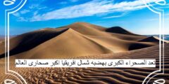 تعد الصحراء الكبرى بهضبه شمال افريقيا اكبر صحارى العالم