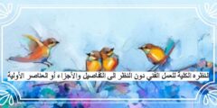 النظره الكلية للعمل الفني دون النظر الى التفاصيل والأجزاء أو العناصر الأولية