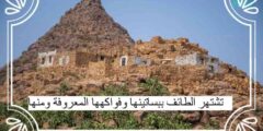 تشتهر الطائف ببساتينها وفواكهها المعروفة ومنها