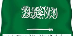 يسعى وطني المملكة العربية السعودية إلى تنمية الاقتصاد وتنويعه
