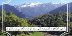 ما هي الظاهره الطبيعيه التي تحد الوطن العربي من الشرق
