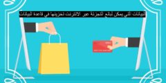 البيانات التي يمكن لبائع التجزئة عبر الانترنت تخزينها في قاعدة البيانات