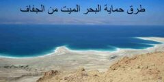 طرق حماية البحر الميت من الجفاف