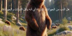 هل الدب من الحيوانات القارتة أي أنه يأكل النباتات والحيوانات