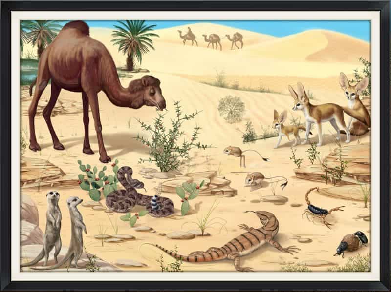 مفهوم العوامل الحيوية في البيئة يشير إلى تفاعل المكونات الحية مع الظروف الطبيعية المحيطة بها.