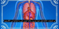 المريض الذي يرجى شفاؤه ويتضرر من الصيام يباح له الفطر وعليه كفارة صواب خطأ