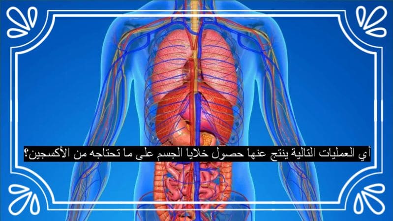 أي العمليات التالية ينتج عنها حصول خلايا الجسم على ما تحتاجه من الأكسجين؟