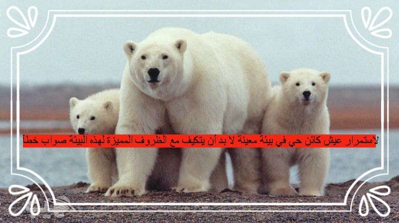 لاستمرار عيش كائن حي في بيئة معينة لا بد أن يتكيف مع الظروف المميزة لهذه البيئة صواب خطأ