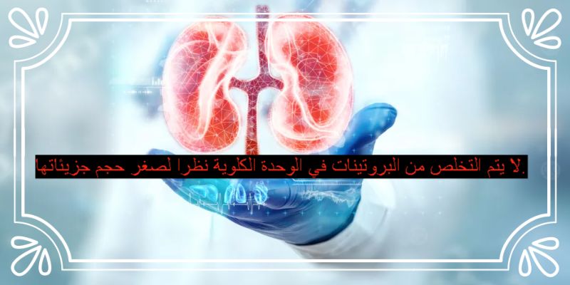 لا يتم التخلص من البروتينات في الوحدة الكلوية نظرا لصغر حجم جزيئاتها صواب خطأ