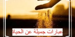 عبارات جميلة عن الحياة