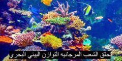 تحقق الشعب المرجانيه التوازن البيئي البحري صواب خطا
