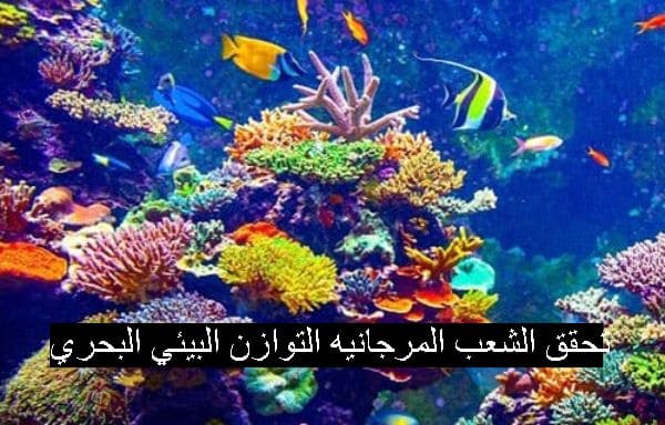 تحقق الشعب المرجانيه التوازن البيئي البحري صواب خطا