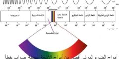 أمواج الضوء المرئي أقصر من أمواج الأشعة السينية. صواب خطأ