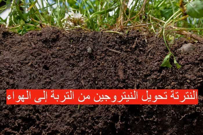 النترتة تحويل النيتروجين من التربة إلى الهواء