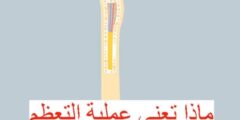 ماذا تعني عملية التعظم