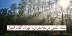 لماذا تتغير درجة حرارة الهواء أثناء النهار