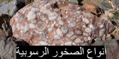 أنواع الصخور الرسوبية