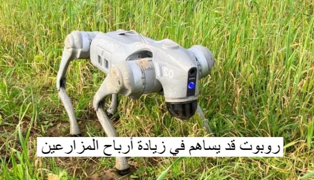 روبوت قد يساهم في زيادة أرباح المزارعين