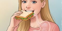 تعتمد أجسامنا في تحليل الطعام الذي نتناوله على التغيرات الفيزيائية الكيميائية تغير شكل الطعام