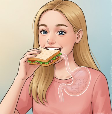 تعتمد أجسامنا في تحليل الطعام الذي نتناوله على التغيرات الفيزيائية الكيميائية تغير شكل الطعام