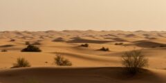 يقع وطني المملكة العربية السعودية ضمن المنطقة الدافئة صواب خطأ