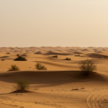 يقع وطني المملكة العربية السعودية ضمن المنطقة الدافئة صواب خطأ