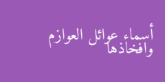 أسماء عوائل العوازم وافخاذها