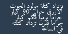 تزداد كتلة مولود الحوت الأزرق حوالي 90 كيلو جراما يوميا فكم كيلو جراما تقريبا تزداد كتلته في الساعة