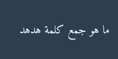 ما هو جمع كلمة هدهد