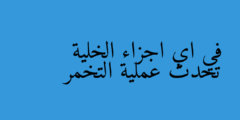 في اي اجزاء الخلية تحدث عملية التخمر