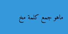 ماهو جمع كلمة مخ