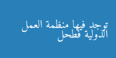 توجد فيها منظمة العمل الدولية فطحل