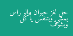 حل لغز حيوان مالو راس يمشي ويتنفس يأكل ويشوف