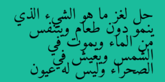حل لغز ما هو الشيء الذي ينمو دون طعام ويتنفس من الماء ويموت في الشمس ويعيش في الصحراء وليس له عيون