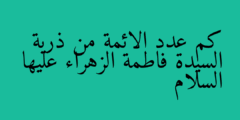 كم عدد الائمة من ذرية السيدة فاطمة الزهراء عليها السلام