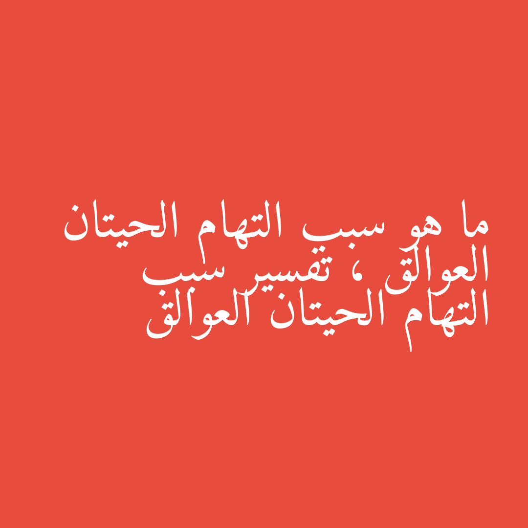 ما هو سبب التهام الحيتان العوالق ، تفسير سبب التهام الحيتان العوالق