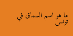 ما هو اسم السماق في تونس