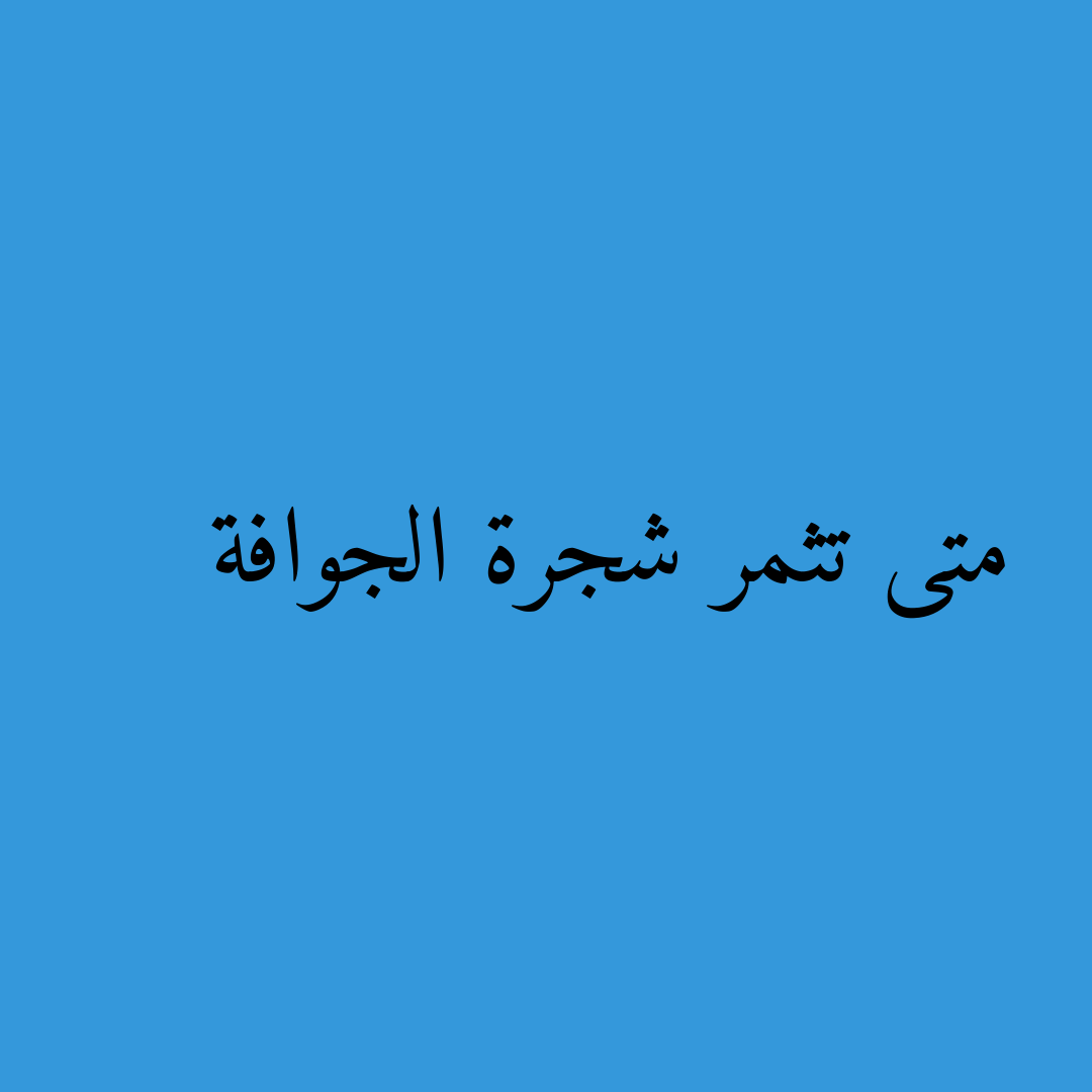 متى تثمر شجرة الجوافة