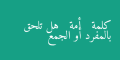 كلمة   أمة   هل تلحق بالمفرد أو الجمع