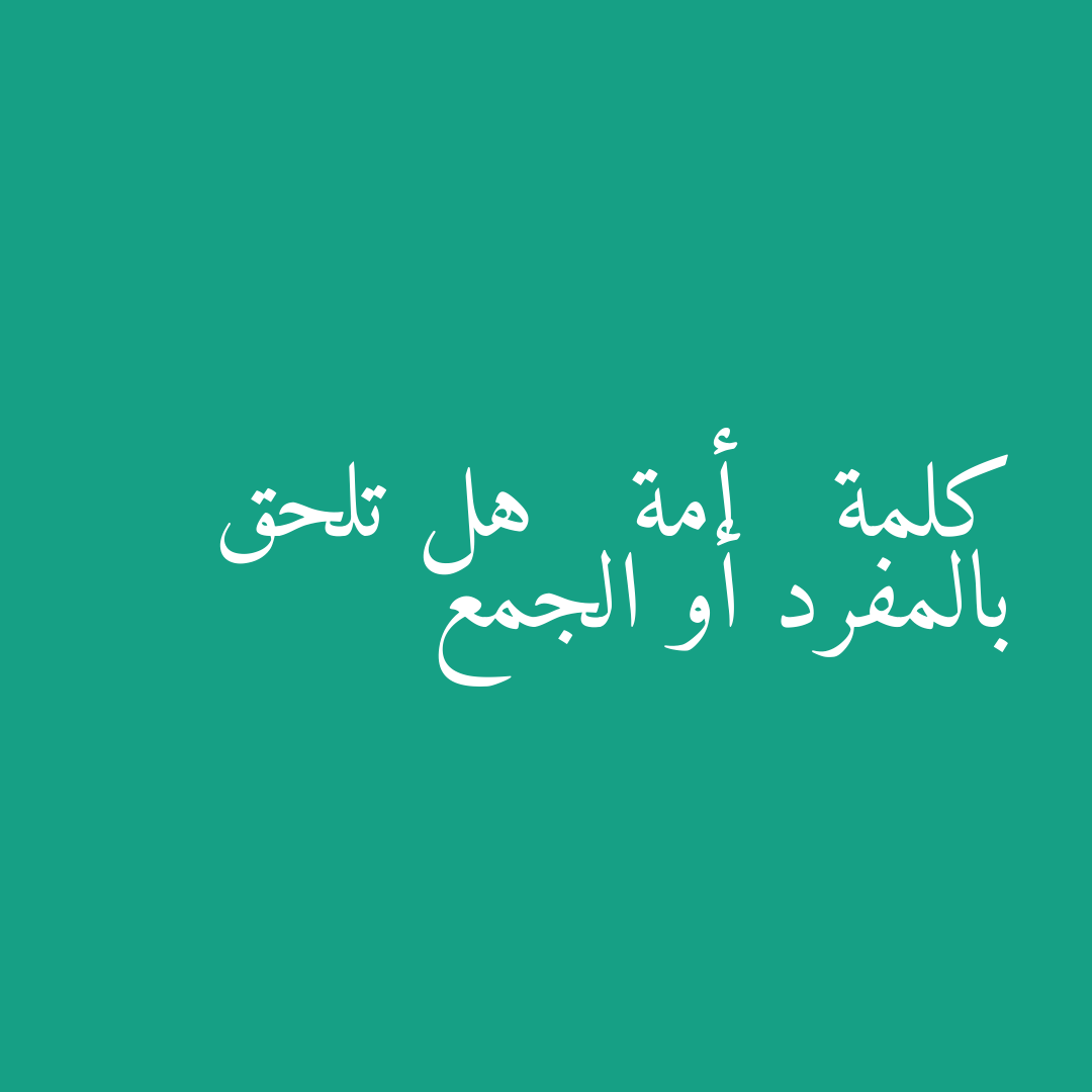 كلمة   أمة   هل تلحق بالمفرد أو الجمع