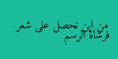 من اين نحصل على شعر فرشاة الرسم