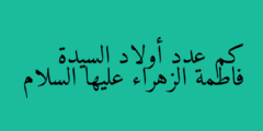 كم عدد أولاد السيدة فاطمة الزهراء عليها السلام